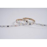 Tira LED Synergy 21 5m 2835 Neutralweiss 24V Dimmable IP20