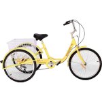 Bicicleta de reabilitação Enero 3 rodas 24 polegadas baunilha