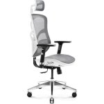 Silla de oficina ergonómica Diablo Chairs V-Basic Biało-szare