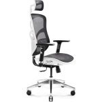 Silla de oficina ergonómica Diablo Chairs V-Basic Biało-czarne
