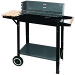 Barbacoa de Carbón Master Grill & Party MG909 53 cm x 37 cm