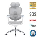 Bürostuhl Ergonomisch Sihoo Doro C300 Pro V2 mit Adaptivem Support