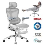 Bürostuhl Ergonomisch Sihoo Doro C300 Pro JT - 5D-Armlehnen, Selbstjustierender Lendenwirbelstütze