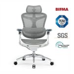 Bürostuhl Ergonomisch Sihoo Doro C300 Pro - Armlehnen 5D, Lendenwirbelstütze Selbstjustierend