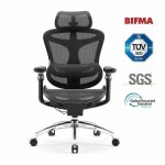 Bürostuhl Ergonomisch Sihoo Doro C300 Pro mit 6D-Armlehnen und Dynamischem Lendenwirbelsäulenstütze