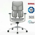 Bürostuhl Sihoo Doro S100 Ergonomisch - Doppelter Dynamischer Lendenwirbelstütze