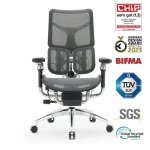 Sihoo Doro S300 Ergonomischer Burostuhl - 6D-Armlehnen - Systeme fur Lendenwirbelstutz und Aufhangung