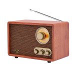 Radio Portátil Adler AM/FM 10W Bluetooth Marrón