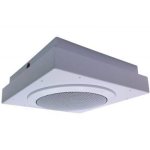 Altoparlanti Algo 2 vie cablati grigio per montaggio a soffitto