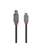 Cabo USB C para USB B Lindy 36666 1 m USB 3.2 Gen 1 Preto