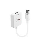 Adattatore Video Lindy HDMI a DisplayPort 4K 3840x2160