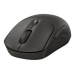 Souris HP 405 Quiet Wireless Bluetooth RF 1200 DPI Noir Ambidextre