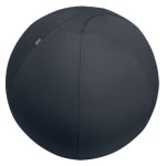 Balón de asiento Leitz Ergo Gris 55 cm para postura y movimiento