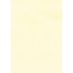 Carta Verjurata Crema A4 APLI 100 Fogli 100 g/m² per Stampanti