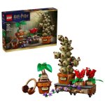 LEGO Harry Potter Hogwarts™: Kräuterpflanzen 76474 817 Teile