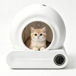 Cassetto lettiera intelligente Welltin 65L silenzioso App 1-8kg