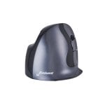 Rato Evoluent D destro RF sem fios 3200 DPI preto cinza prata 6 botões