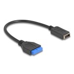 Adaptador USB Delock 19 pinos a chave E interna de 25 cm