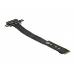 Adattatore DeLOCK M.2 chiave M a PCIe x4 NVMe con cavo di 20 cm