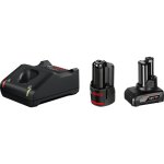 Chargeur de batterie Bosch Professional 12V avec 2 batteries GBA 2.0Ah et 4.0Ah