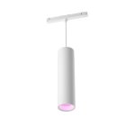 Lampada da soffitto intelligente Philips Hue Perifo Bianca