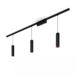 Kit de Iluminación Inteligente Philips Hue Perifo Techo Recto Negro 3 Lámparas