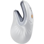 Mouse Protoarc EM11 NL Vertical Wireless Bluetooth 2400DPI Nero Oro