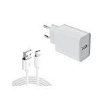 DLH 12W USB-A-Ladegerät mit USB-C-Kabel 1 m Weiß