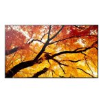Monitor NEC MultiSync PN-M752 74,5" UltraHD 4K 60Hz IPS USB-C Altavoces Integrados