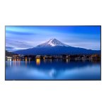 Écran PC NEC MultiSync P436 43" UltraHD 4K 60Hz IPS HDR Direct-LED Pro