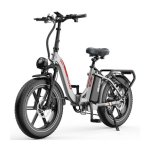 Bicicleta Elétrica Ovivo C2 Pro - Motor 250W Bateria 48V18ah 20 polegadas Freios Hidráulicos
