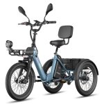 Bicicleta Elétrica Fafrees F20 Mate II 250W 48V21Ah 20 polegadas travões de disco hidráulicos cinzento azulado