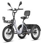 Bicicleta Elétrica Fafrees F20 Mate II 250W 48V21Ah 20 polegadas