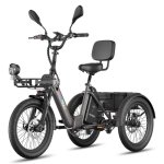 Bicicleta Elétrica Fafrees F20 Mate II 250W 48V21Ah 20 polegadas travões de disco hidráulicos preto intenso