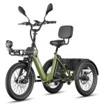 Bicicleta Elétrica Fafrees F20 Mate II 250W 48V25Ah 20" Freio a Disco Hidráulico Verde Militar