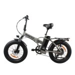 Bicicleta Eléctrica Univercycle B3 20" Motor 350W Batería 48V 13Ah Gris