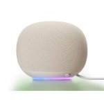 Enceintes Google Home Ovales Wi-Fi 6 Bluetooth 5.4 avec Micro Intégré