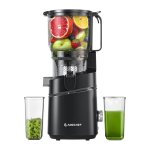 Extracteur de jus lent AMZCHEF SJ-036CBK 250W 2.5L