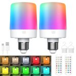 Pack 2 Lampadine LED E26 Ricaricabili con Telecomando 15 Colori Magnetiche