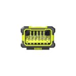 Kit 10 Punte Ryobi Torque+ RAK10MSDI Torx PH PZ 50 mm Custodia Rigida