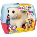 Interaktives Veterinär-Plüschtier Little Live Pets Mon Chien Ouchies 50+ Geräusche