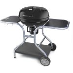 Barbacoa de carbón Fieldmann FZG 1014 54 cm tapa abombada con termómetro