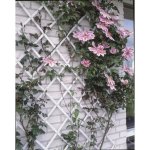 Treillis Nature Expandible Blanc Plastique 50 x 150 cm Kit Fixation