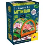 Kit Estufa Botânica Lisciani I'm A Genius Em Madeira Para Crianças 7-12 Anos
