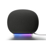 Altoparlanti Google Home Intelligenti Wi-Fi 6 30W con Bluetooth e voce