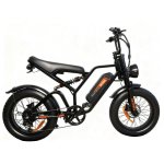 Bicicletta Elettrica JKING FXH-009 500W 48V 20x4.0