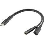 Cavo Adattatore USB-C Renkforce RF-7116124 60W DAC Hi-Fi Audio e Ricarica