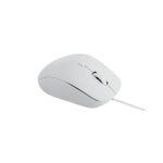 Maus Rapoo N500 USB Typ-A 3600 DPI Weiß Kabelgebunden 4 Tasten