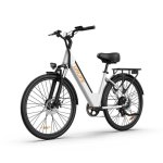 Urlife E26 E-Bike Fuer Erwachsene 250 W 48V 10,4Ah 26 Zoll