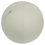 Balón de asiento Leitz Ergo Active 65cm Gris Antideslizante